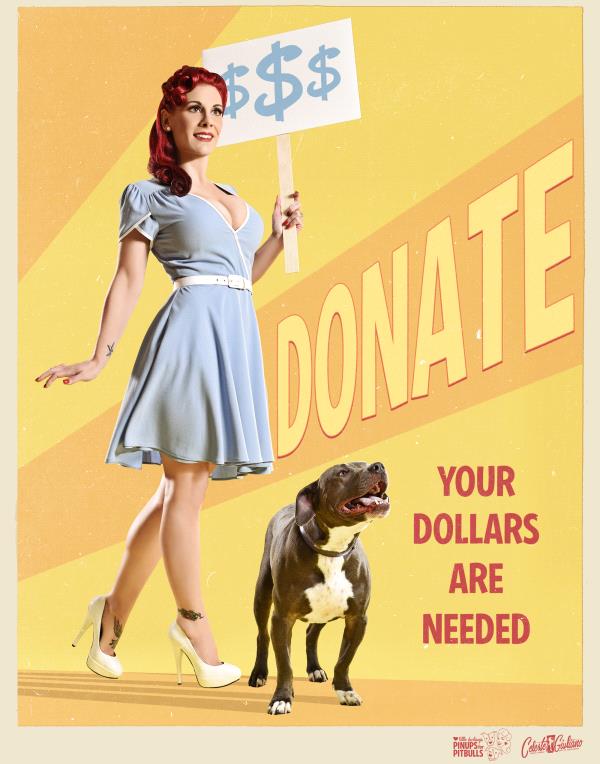 /Images/uploads/Pinups for Pitbulls/greatestpits/entries/13094thumb.jpg